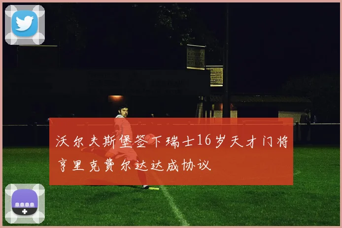 沃尔夫斯堡签下瑞士16岁天才门将亨里克费尔达达成协议