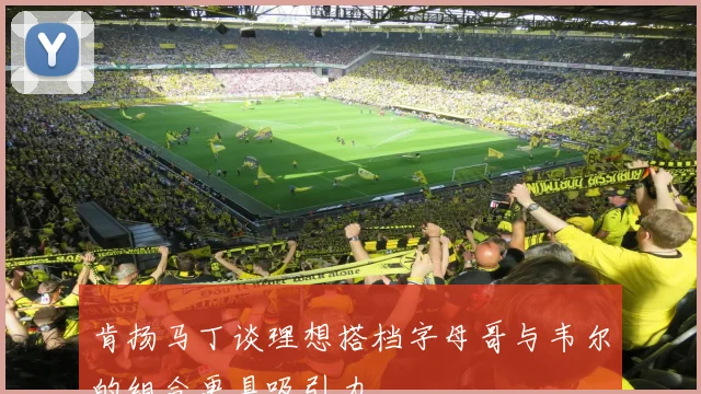 肯扬马丁谈理想搭档字母哥与韦尔的组合更具吸引力